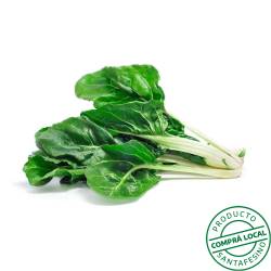 Acelga bolsa Su Bandeja 1 U