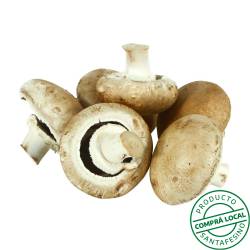 Portobellos Campo Litoral 1 Kg