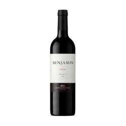Vino syrah Benjamin 750 Ml