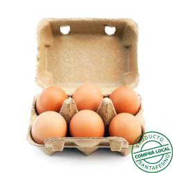 Huevos color La Nueva 6 U