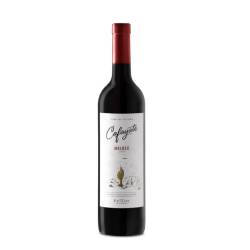 Vino malbec Cafayate 750 Ml