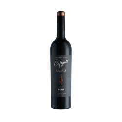 Vino malbec reserva Cafayate 750 Ml