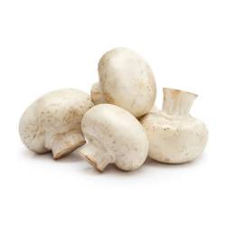 Champignon  1 Kg