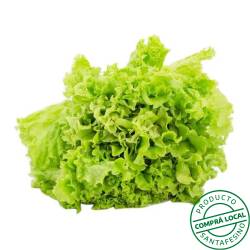 Lechuga crespa  1 Kg