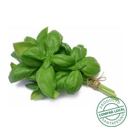 Albahaca Gare Du Nord 1 U