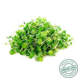 Berro Gare Du Nord 1 U