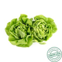 Lechuga mantecosa Gare Du Nord 1 U