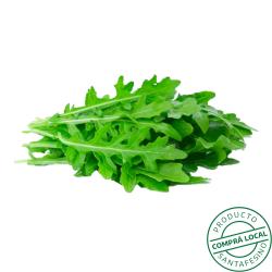 Rúcula Gare Du Nord 1 U