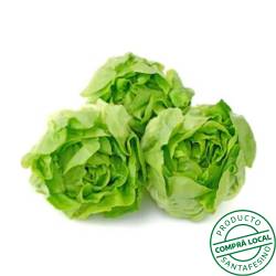 Lechuga mantecosa Brote 1 U