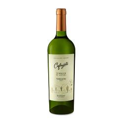 Vino terrroir torrontés Cafayate 750 Ml