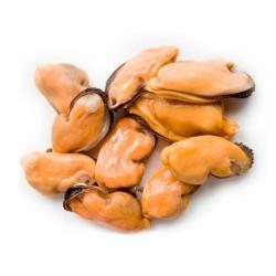 Mejillón cocido pelado  1 Kg