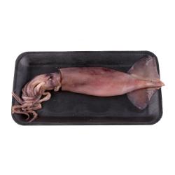 Calamar grande  1 Kg