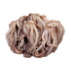 Calamar tentáculos  1 Kg