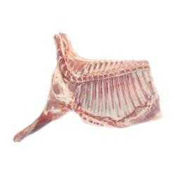 Corte delantero Cordero 1 Kg