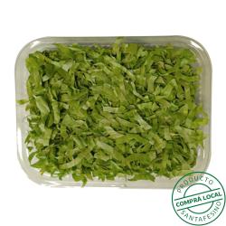 Achicoria 105 b Su Bandeja 1 U