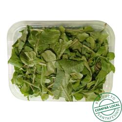 Rucula 105 b Su Bandeja 1 U