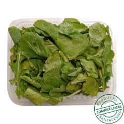 Rucula 104 b Su Bandeja 1 U