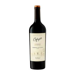 Vino terroir cabernet sauvignon Cafayate 750 Ml