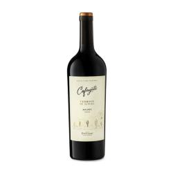 Vino terroir malbec Cafayate 750 Ml